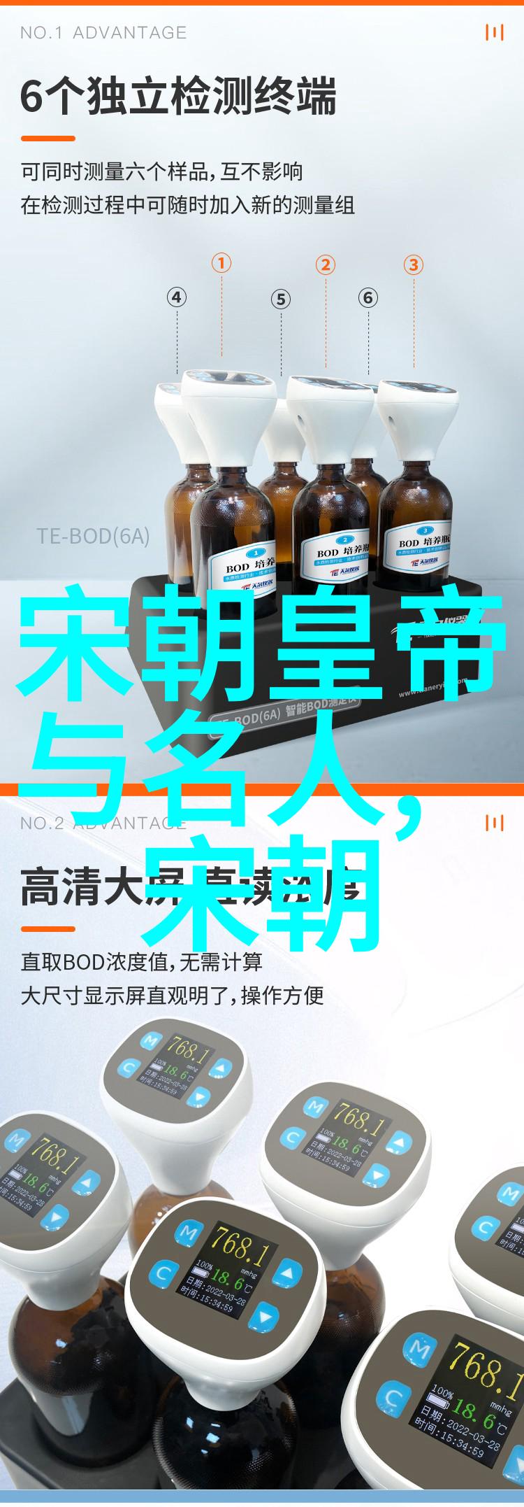 南宋历代帝王赵构光宗赵昚宁宗赵擴理宗赵显度宗