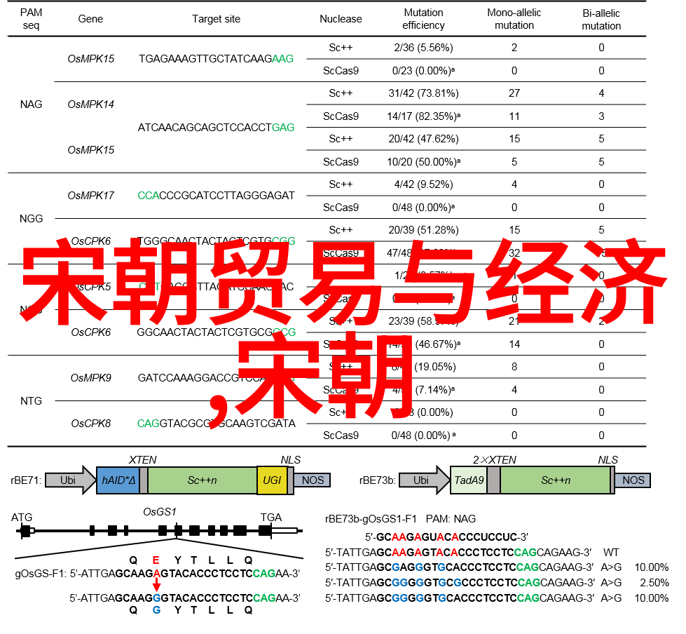 系统性的挑战与机遇探索创新型公司的人文关怀实践