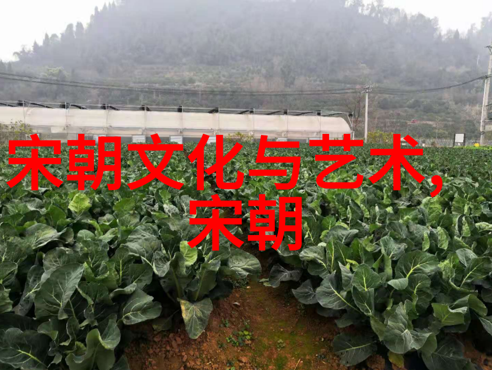 着迷阿司匹林全文免费阅读-药剂师的秘密揭开着迷阿司匹林背后的故事