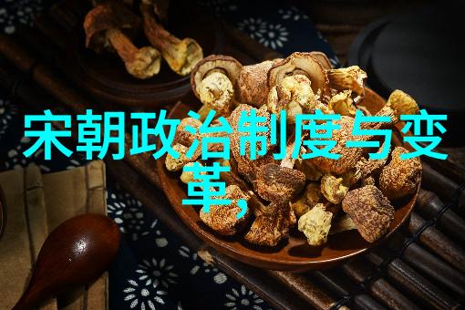 探秘古代阴谋与迷雾中的帝王之路