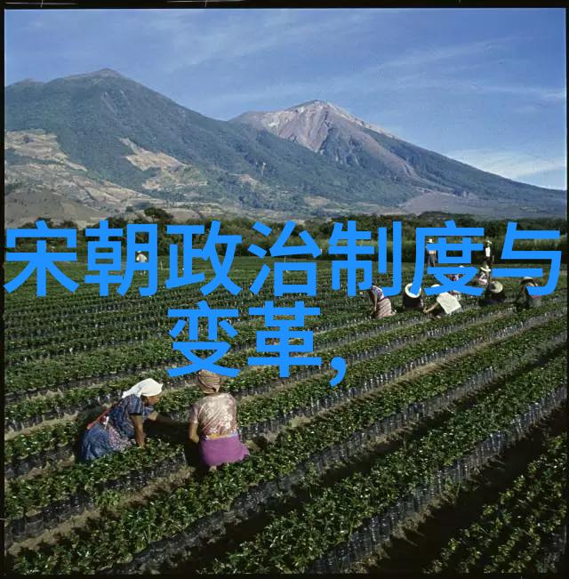 战国时期的美丽传奇揭秘最漂亮的女人