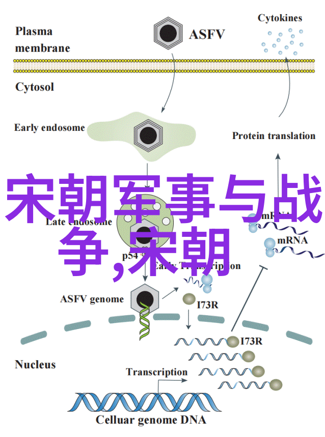 明朝的阴影历史的真相与现代的想象