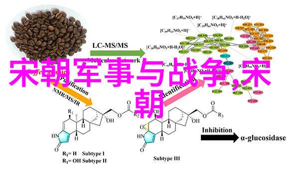 辽金之谜历史记忆与正史边界的探究