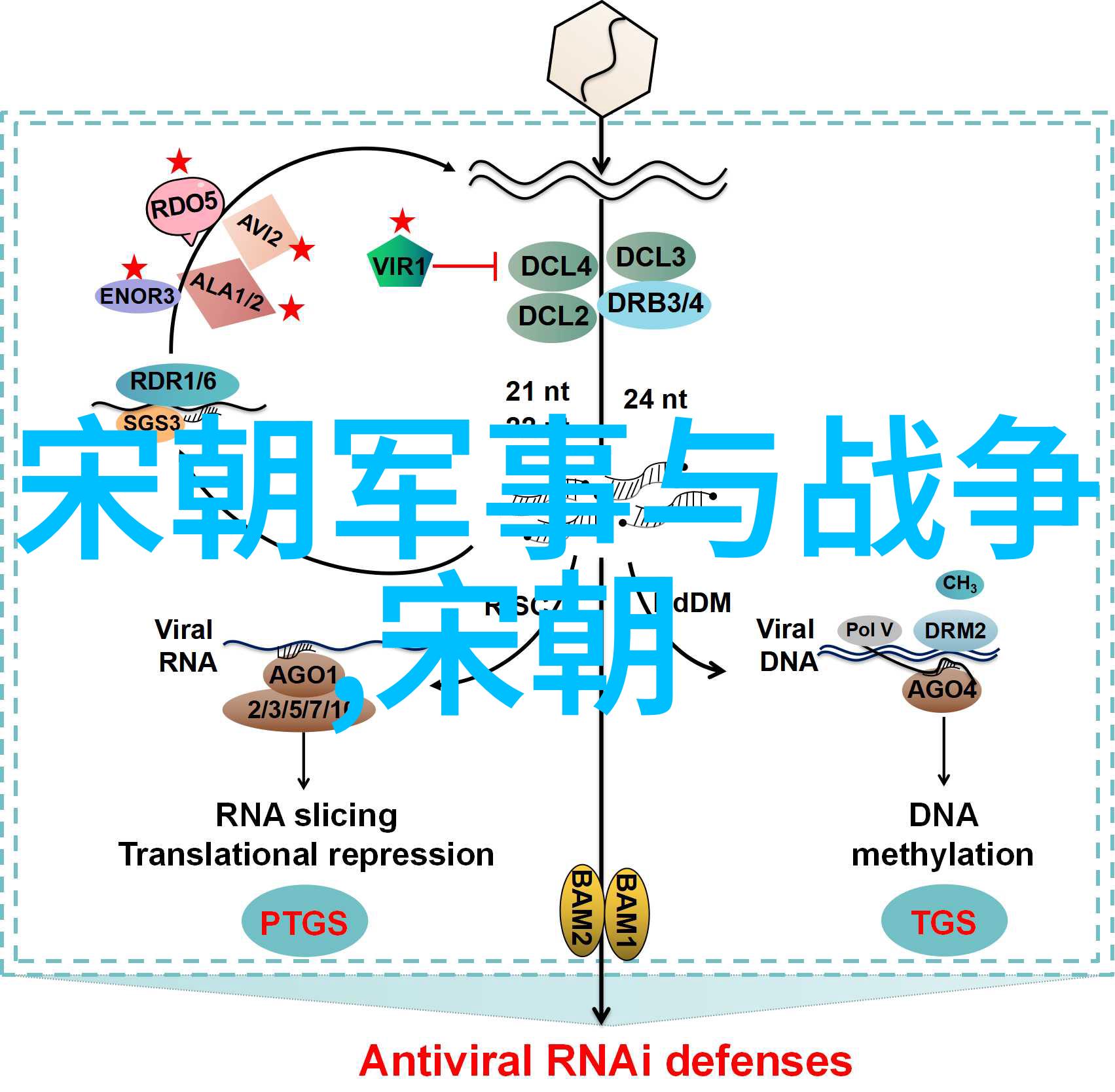 梵高星空绘宇宙之美的哲学阐释