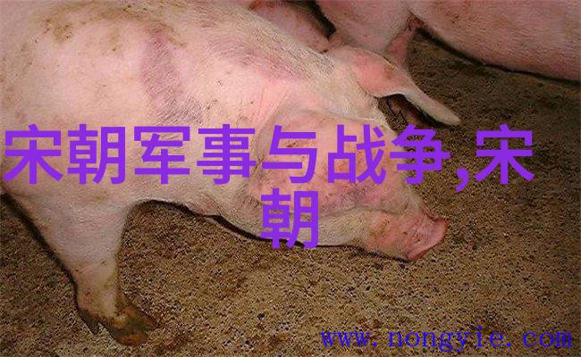 体育院校大猛攻视频体育院校学生的激烈比赛