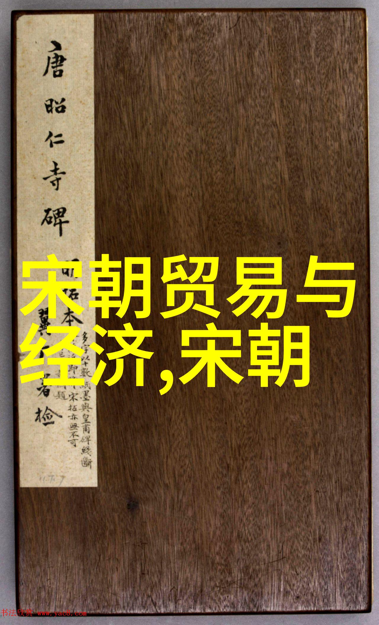 王嘉胤元朝时期的天文学家与历法改革者