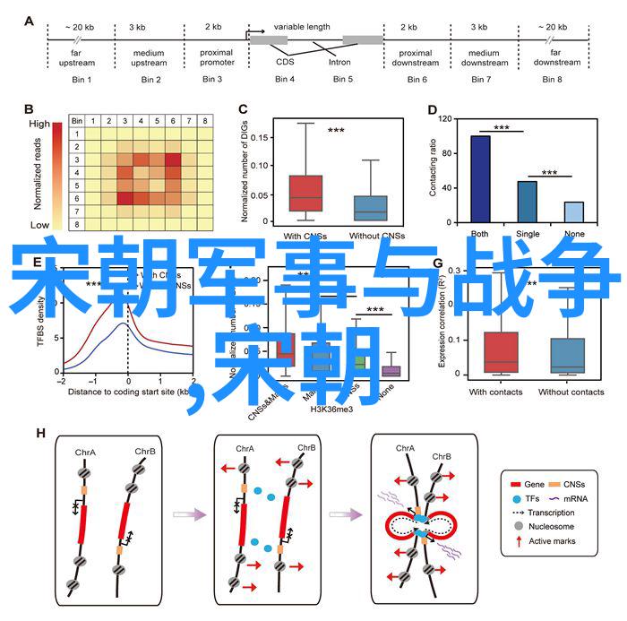 中国历史上最硬气的王朝铁血铸辉煌