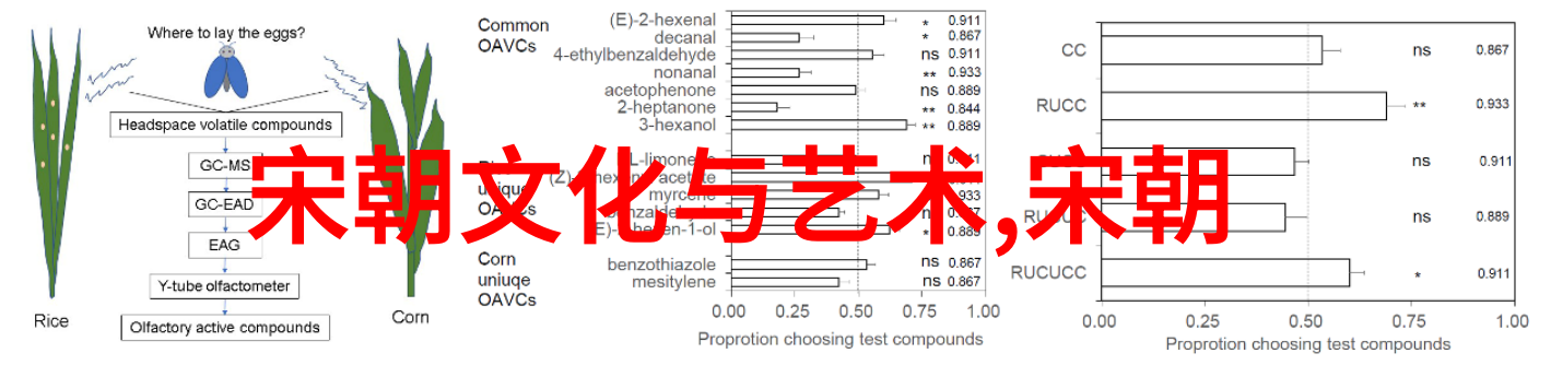 宋朝时期的东方风云利玛窦穿越400年回访中国聚会(图)