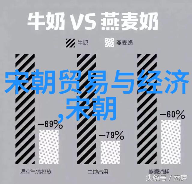 西方文化艺术的巨大飞跃探索最具人文关怀的视频作品