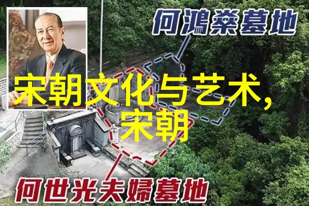 大道免费手机高清视频探索无限视觉乐趣