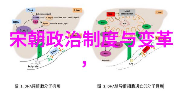 乐园路探秘揭开乐园路的神秘面纱