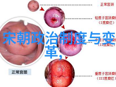 明朝辉煌与沧桑重要人物与历史事件的编年史