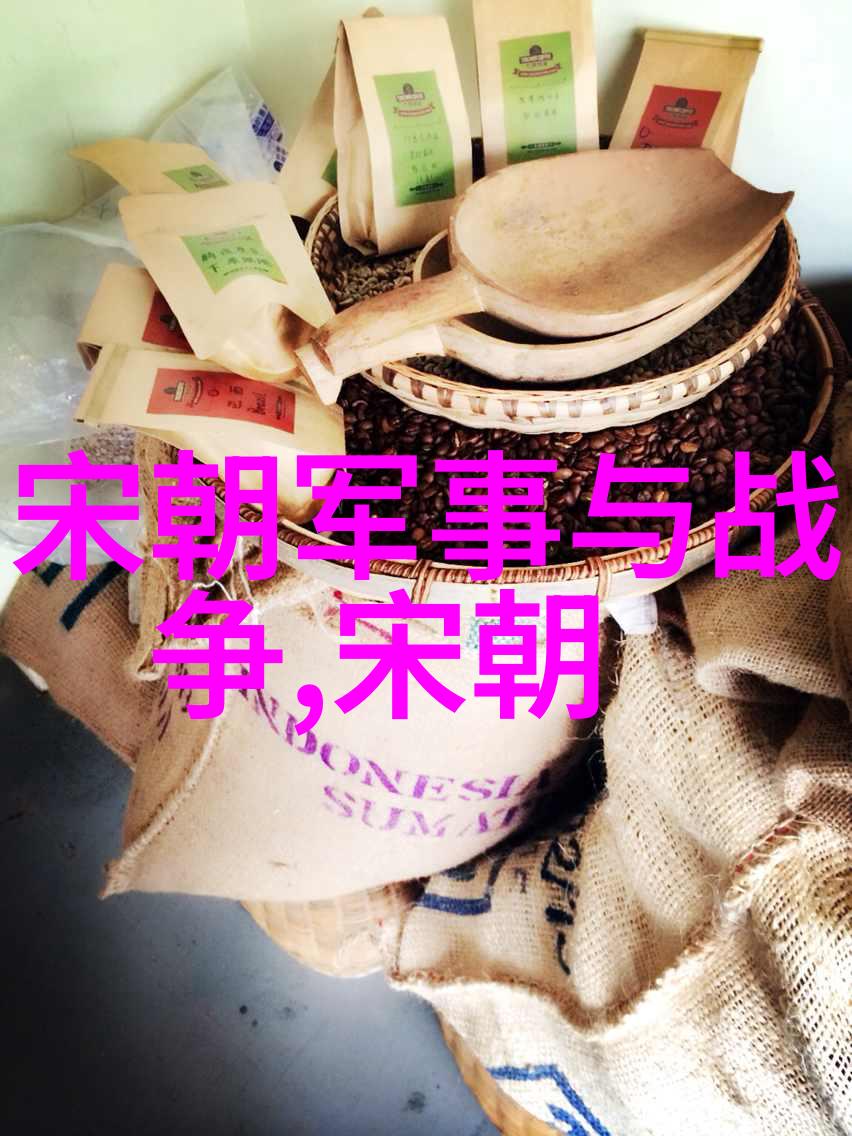 明朝那些事儿揭秘历史的长河