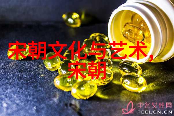 历史的光辉宋朝专家们的赞誉与背后原因探究