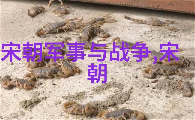 探秘历史我是如何在一场时光旅行中见证5000年历史顺序的奇迹