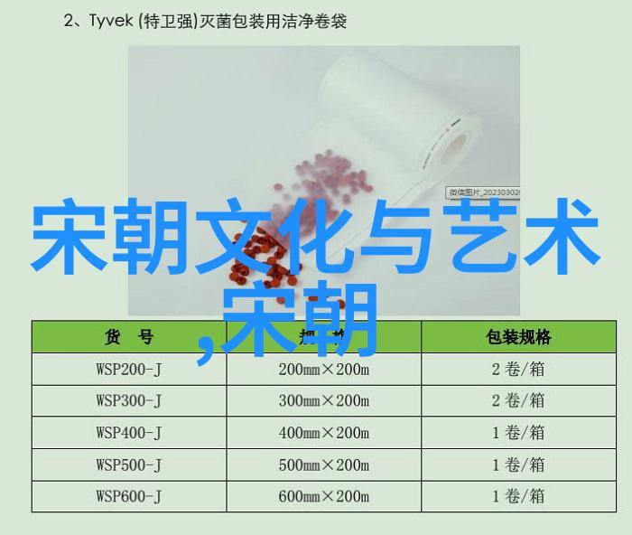 元代边疆管理与民族政策探究