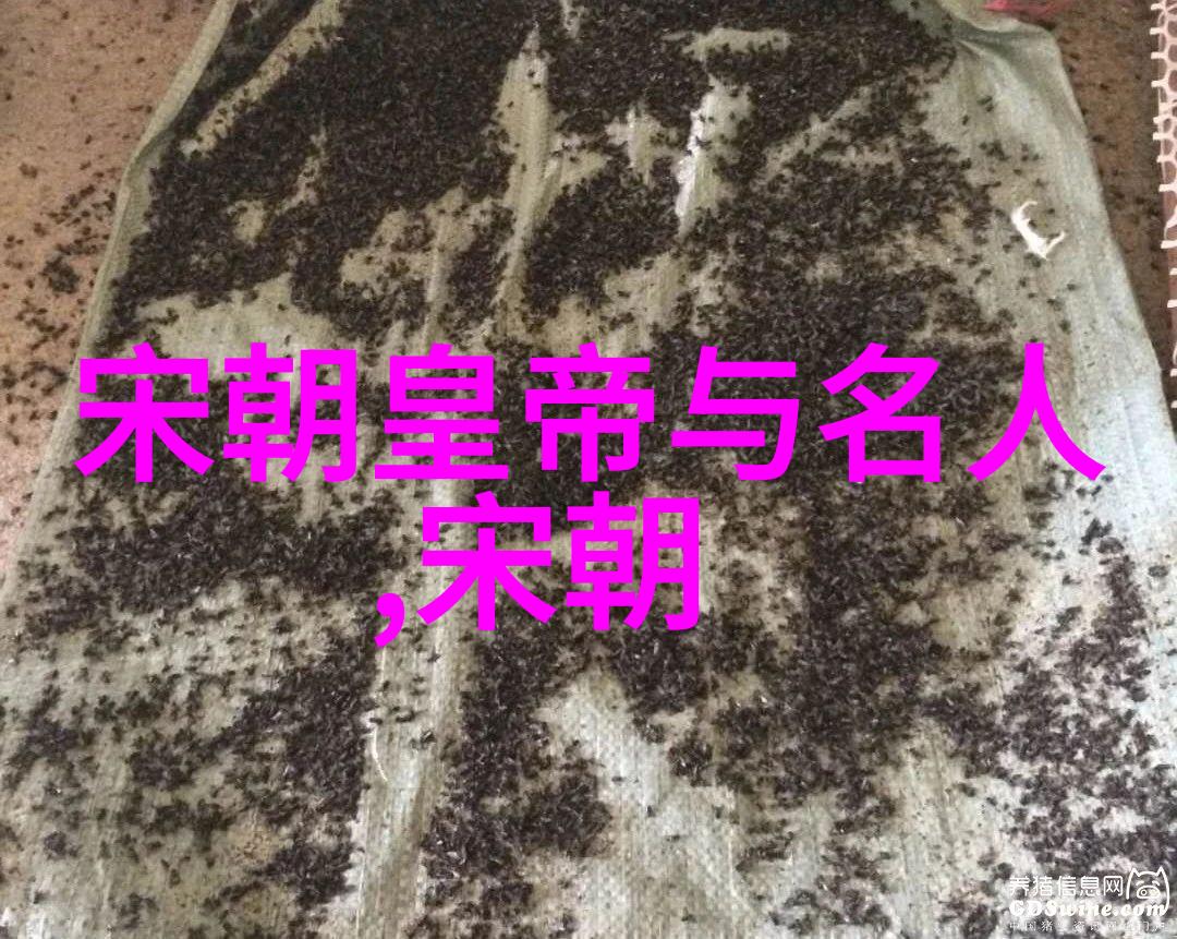 南宋与北宋历史资料汇编揭秘两代中原的兴衰