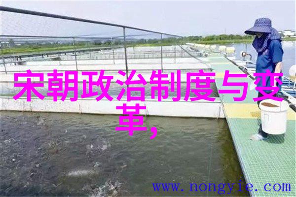 谁能掏出历史的龙具解开未知的谜团