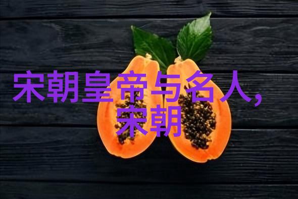 明初对外征服战争有什么样的战略意义和后果