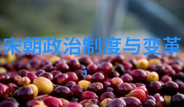 文明与文化 - 文明的根基与文化的花朵探索文明与文化之间的联系