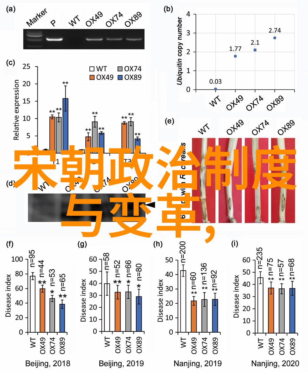 历史探索 - 朱元璋的权力欲与人性考量最自私的君主之谜