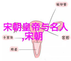 历史的长河从汉朝到清朝的变迁与发展