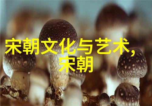 岳飞之死与靖康耻的交响历史悲剧的反思