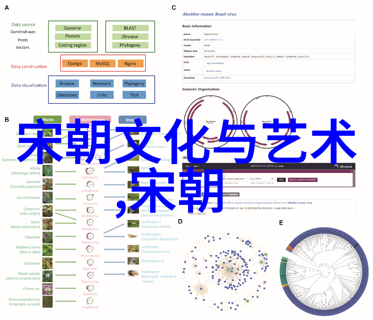 郑和下西洋的海上奇迹探秘历史上的航海英雄与神奇船只