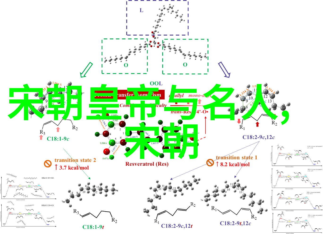 上帝的创世之谜