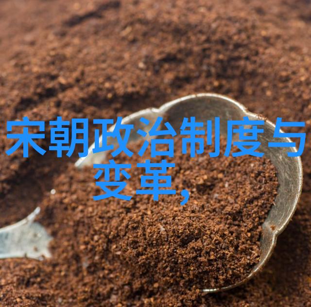 明朝的辉煌与挑战权力文化与帝国边缘的考量