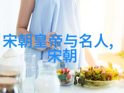 宋代史料-梳理宋史探索古籍与碑刻中的历史真谛