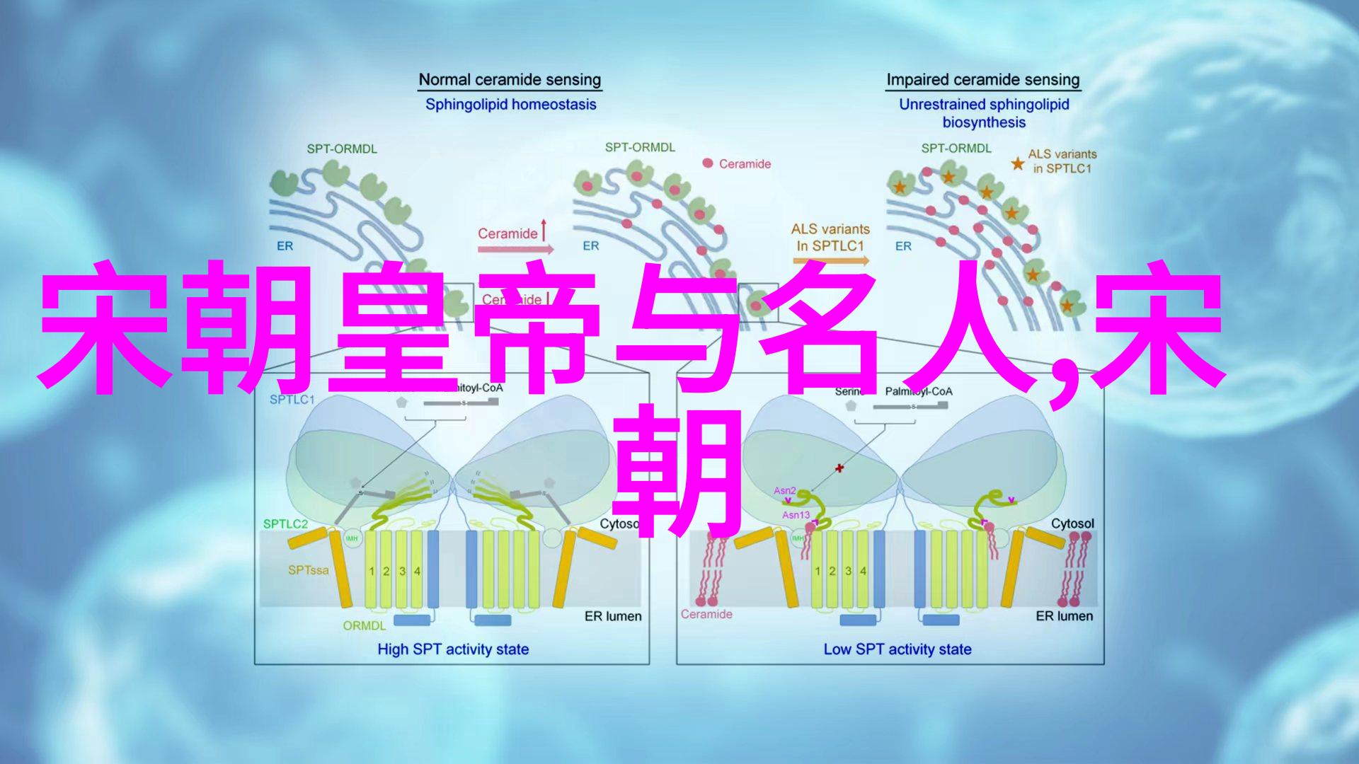 中国历代聊聊我国的古代帝王们是怎么排座次的