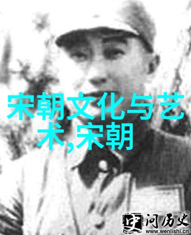 南宋历史简介20字-复兴与凋零南宋的兴衰史