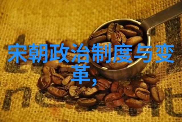 南宋与北宋历史资料研究深入探究两宋时期的文献遗产