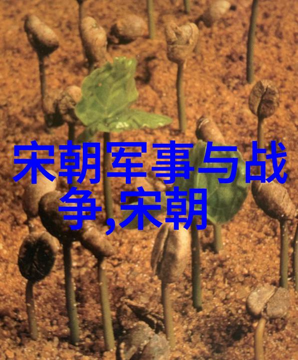 读懂历史背后的女人大明皇后孙若微研究