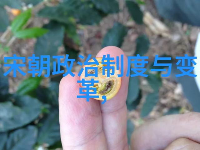 刘伯温与马皇后之谜揭秘古代名臣与帝后间的隐秘情感