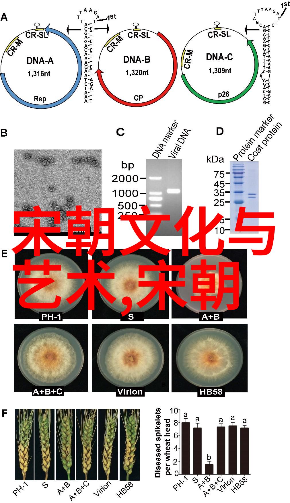 崇祯帝的遗书揭秘5000年历史顺序中的物品密码