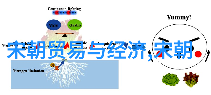 探索中华辉煌中国历史文化的丰富内容与深远影响