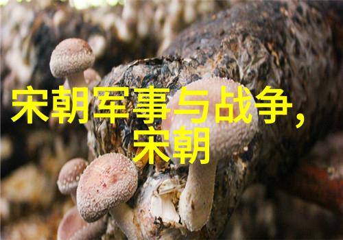 唐高祖李渊与隋炀帝的政治交往与对比历史上的两位皇帝及其统治策略