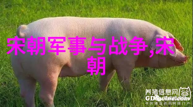 辽金历史上的隐秘王朝遗落在正史之外