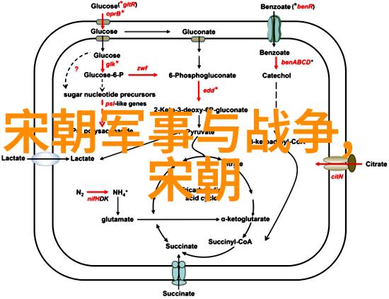 中国顺序列表大全从古代到现代的编纂与应用