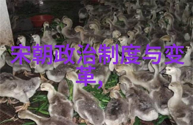 美丽姑娘高清电影观看免费看最新动作爱情片