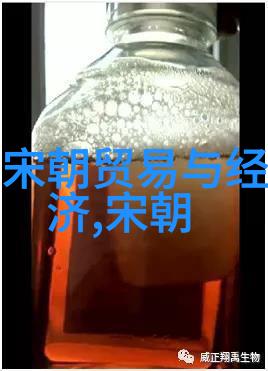 明朝覆灭考历史演变与社会裂痕的交织