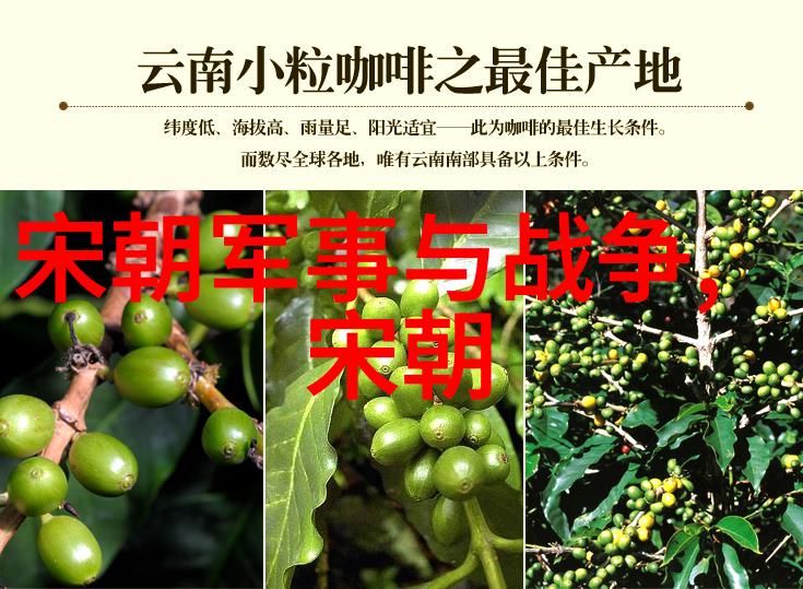 明成祖探询讲官翻阅古籍以窥探历史与自然之奥秘揭示明朝的深远影响