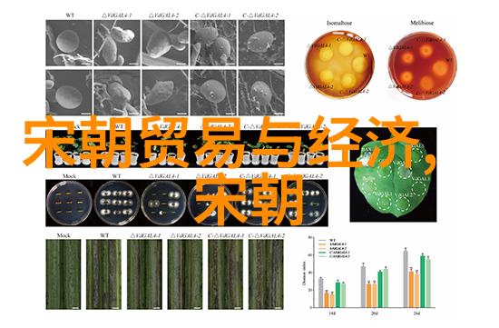 足球与文明探索我国历史名人足球之旅