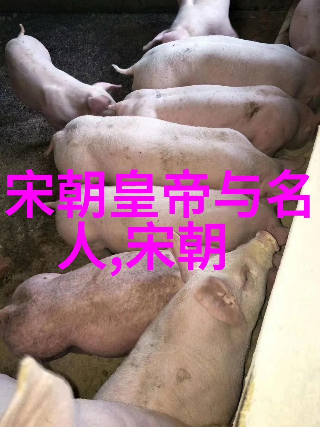 明朝那些事有声小说历史传奇转述