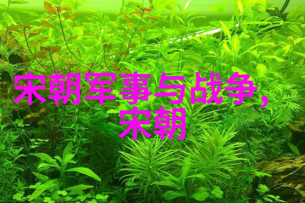 云南的艺术形式有哪些绘声绘色下的民族魂魄