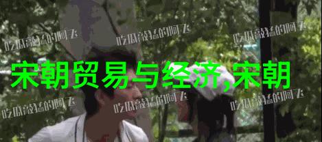 明朝历史的复杂面纱揭开被误解与歪曲的真相