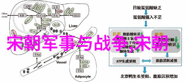 元朝近百年的辉煌元朝的历史长河