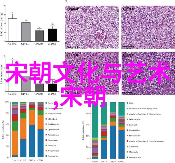 华夏智慧的传承者周国华的人生轨迹